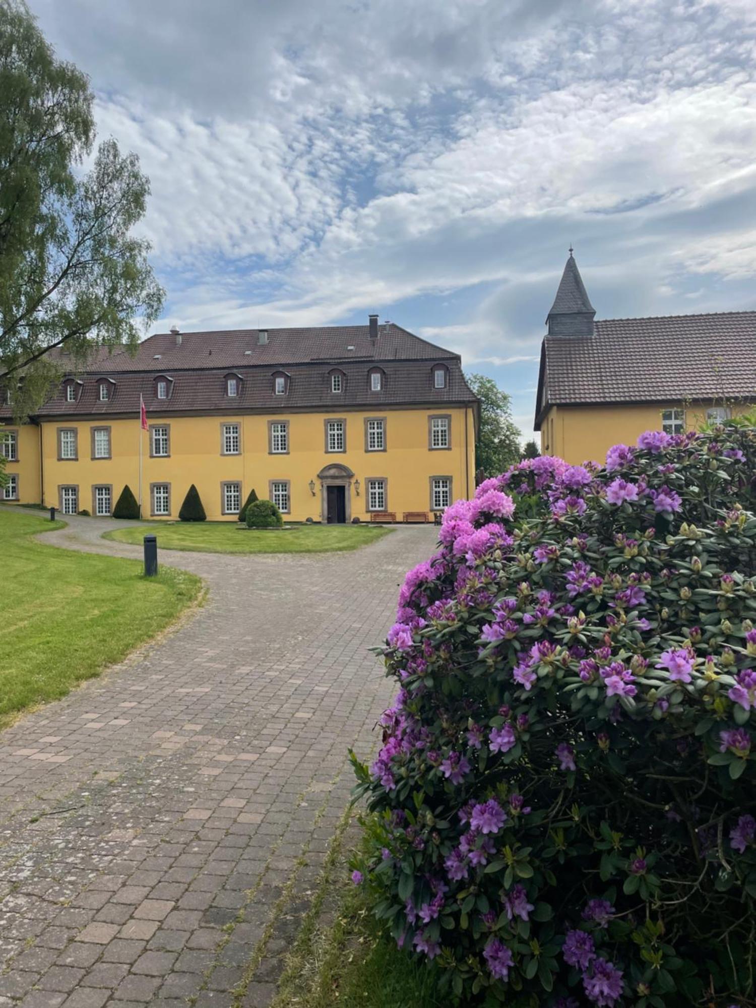 Hotel Schloss Hoehnscheid Bad Arolsen Eksteriør billede