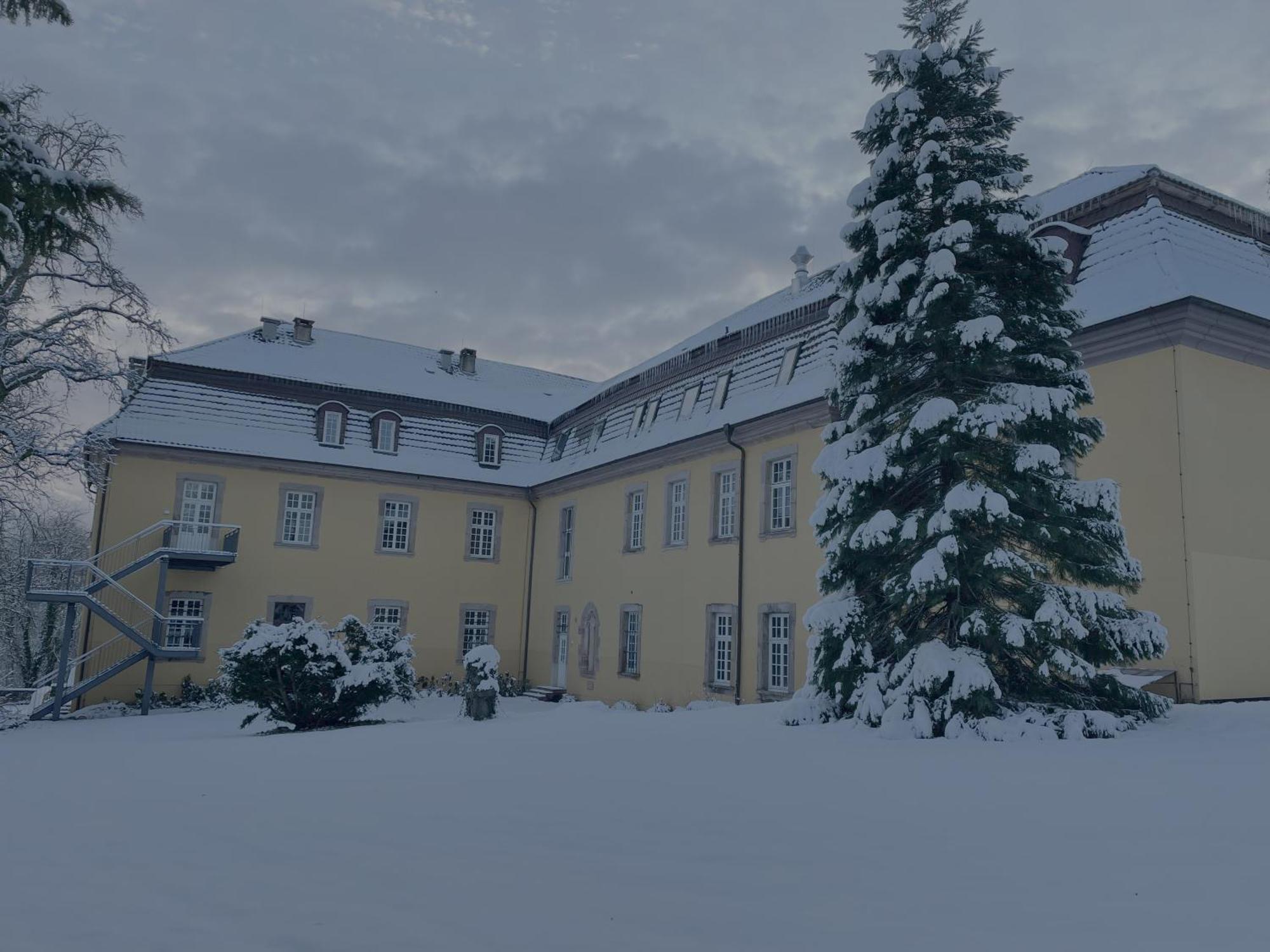 Hotel Schloss Hoehnscheid Bad Arolsen Eksteriør billede